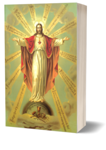 Book Cover: Sagrado Coração de Jesus