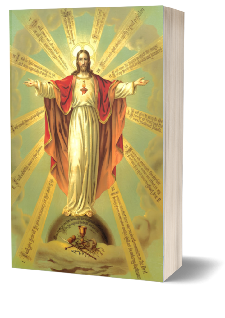 Book Cover: Sagrado Coração de Jesus