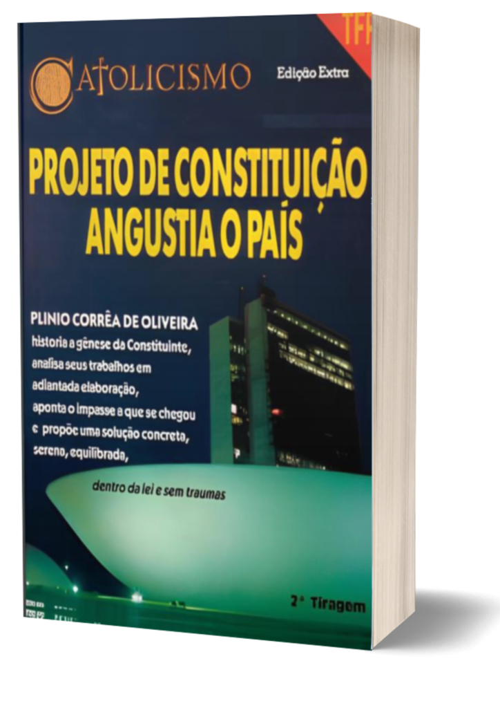 Book Cover: Projeto de Constituição Angustia o país